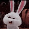 Daniel Jackura's profile picture