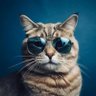 Rafael Ramirez profil fotoğrafı