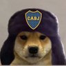matein's profile picture