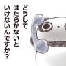 Profilbild von panda_dan