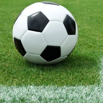 QuienRobo's profile picture