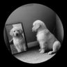 Profilbild von AnnieOakley