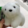 suiyueran's profile picture
