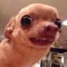 Profilbild von louie