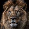 Lima profil fotoğrafı