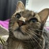 neri.blue profil fotoğrafı