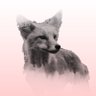 Rifrafgiraffe's profile picture