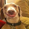 FreePalletTown's profile picture