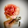 み。's profile picture