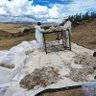 Baxoleni Pty Ltd profil fotoğrafı