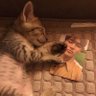 nin ◡̈ profil fotoğrafı