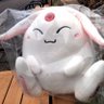 流れ星のあと's profile picture