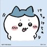 api's profile picture
