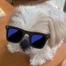 小胸筋強制サポーター 的头像