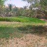 Фото профиля اللهم احفظني بحفظك كما حفظت كتابك