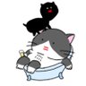 文具ふぇち's profile picture