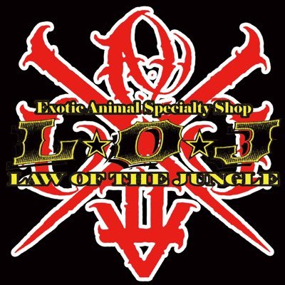 LOJ69TOORU's profile picture