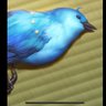 アキ's profile picture