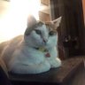 haleyyydunphy profil fotoğrafı