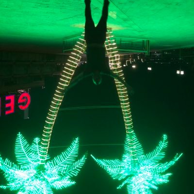 MasterRasen's profile picture