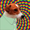 пересічний Харківець's profile picture