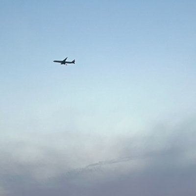 DelightMoments_'s profile picture