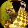 Фото профиля K 👀🙈