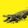 Фото профиля _Gator_