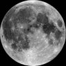 Harlekin Mond 的头像