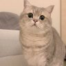 กิมจิ's profile picture