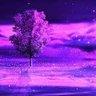 Фото профиля Yazmin
