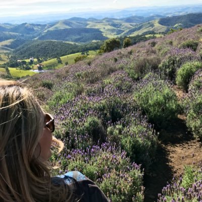 Carolina's profile picture