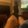 Фото профиля Footstool_slave