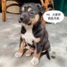 迷人的小月亮_biu~biu~biu~ profil fotoğrafı