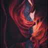 Vortex's profile picture