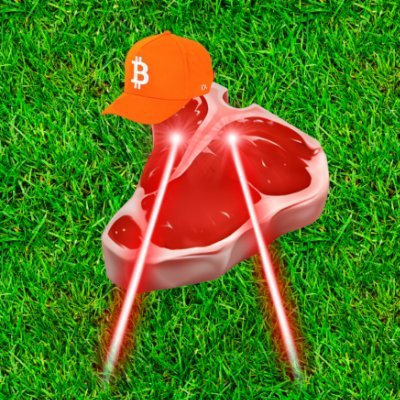 WhyCarnivore's profile picture