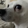duncan 的头像