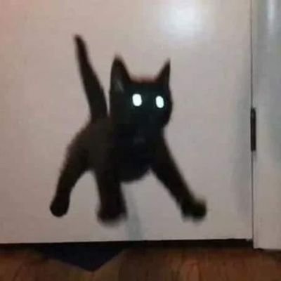 먀's profile picture