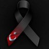 Profilbild von Doğan