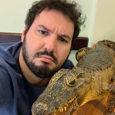 oFabricioNardi's profile picture