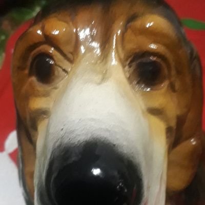 AXELT🌟's profile picture