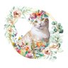 Фото профиля sweets Lenor