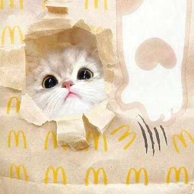 mengyunbrat_'s profile picture