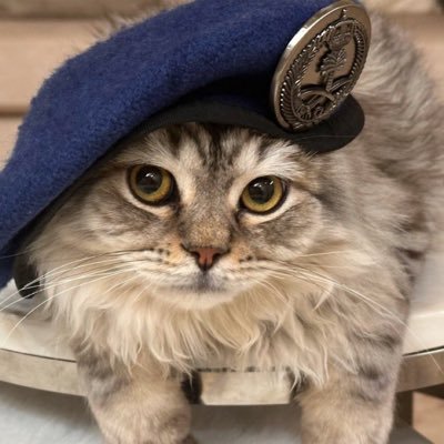 9qvci's profile picture