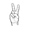 John White's profile picture
