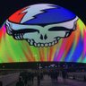 Grateful Dave 🦬's profile picture