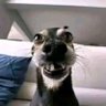 Guvnor๐ต๐ธ's profile picture