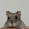 suco de laranja ♀♀'s profile picture