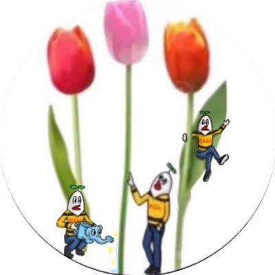 のるるん's profile picture