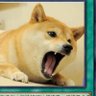7788不要9 的头像